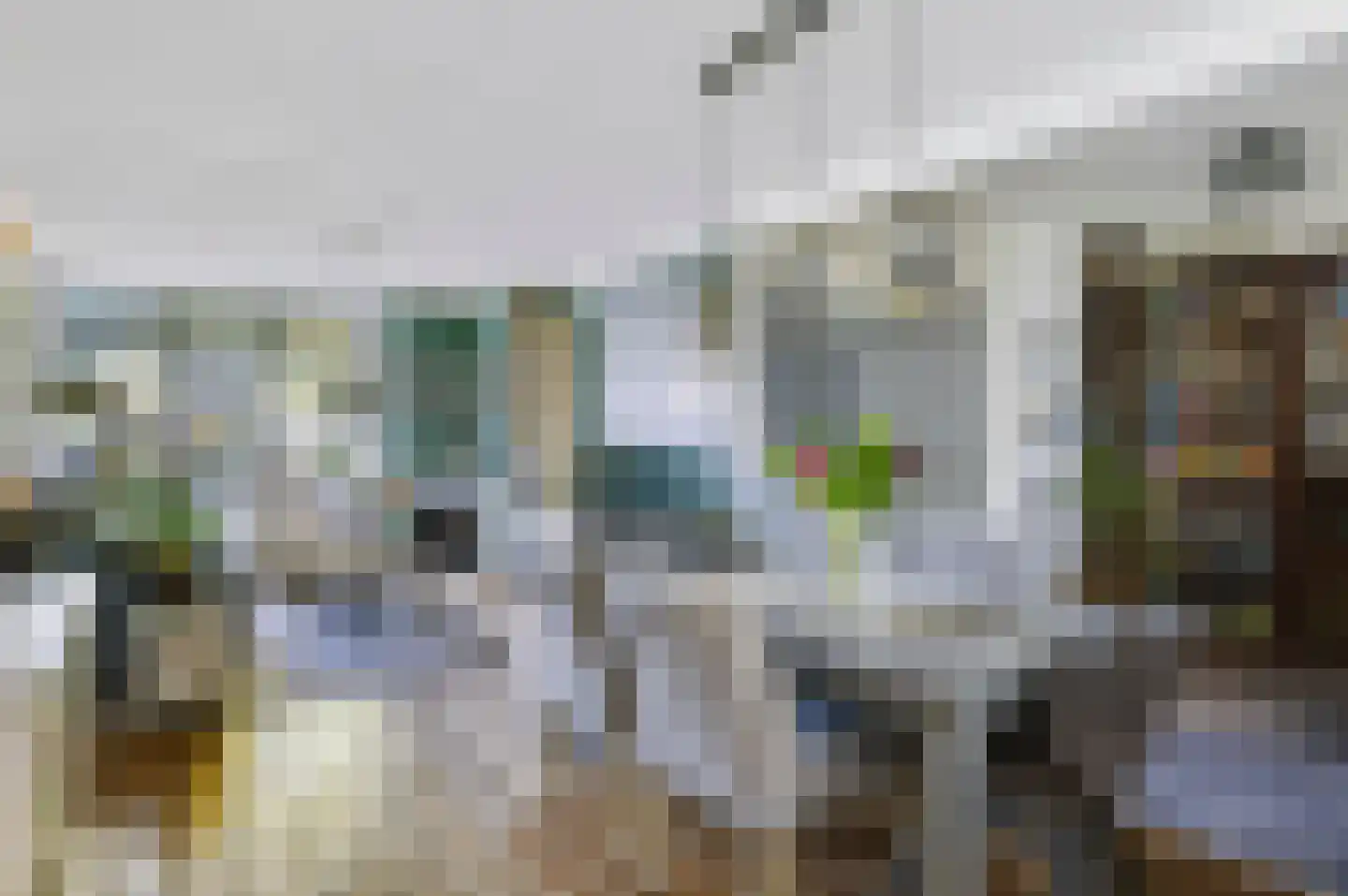 Doornbocht 10 Steensel thumbnail 10