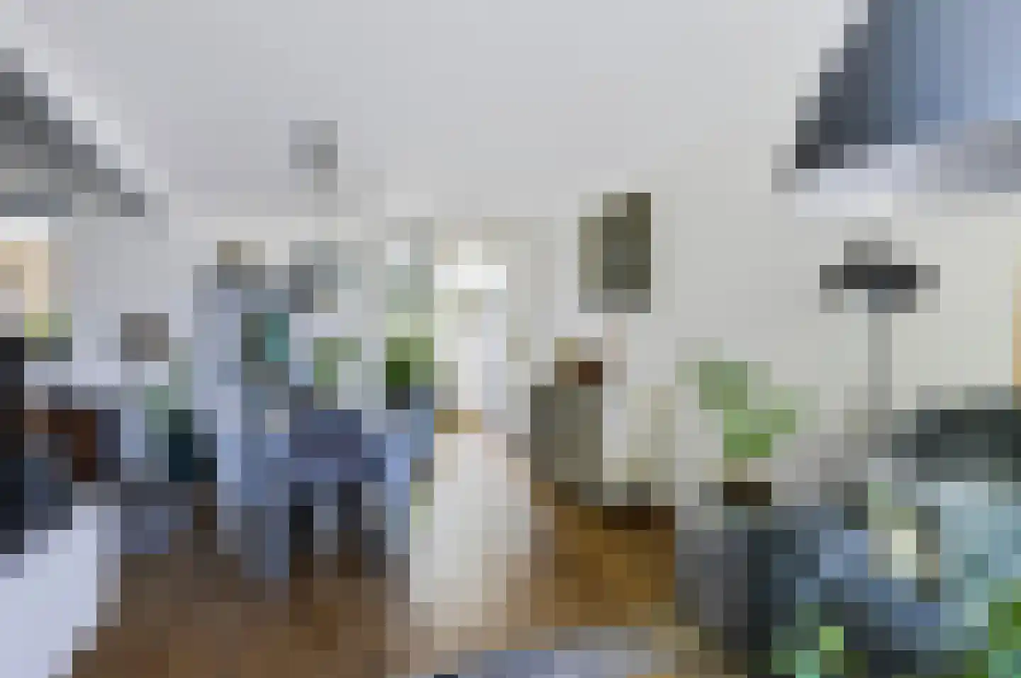 Doornbocht 10 Steensel thumbnail 12