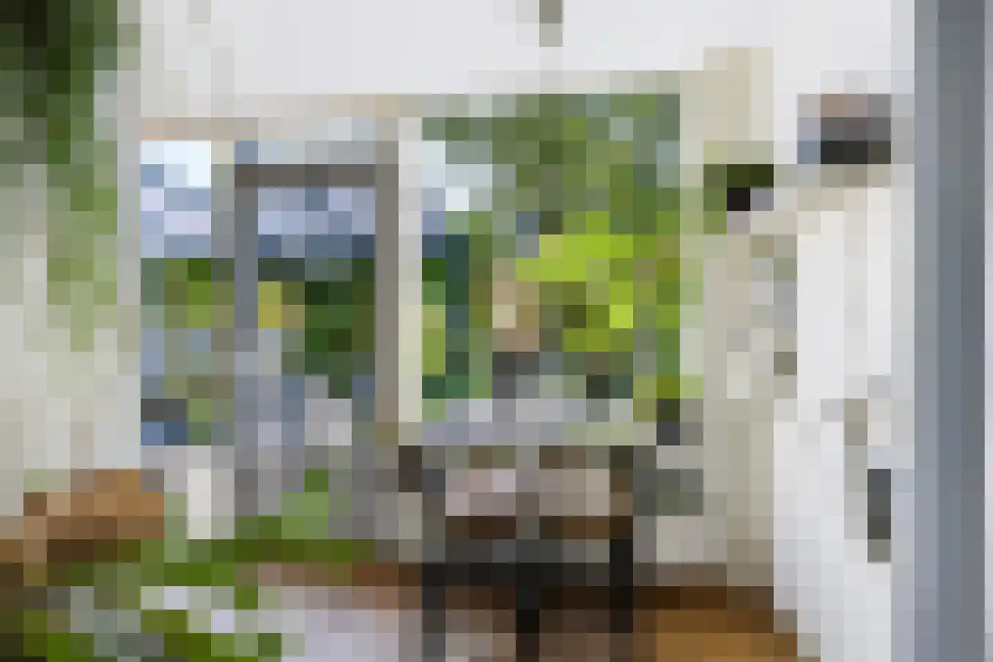 Doornbocht 10 Steensel thumbnail 14