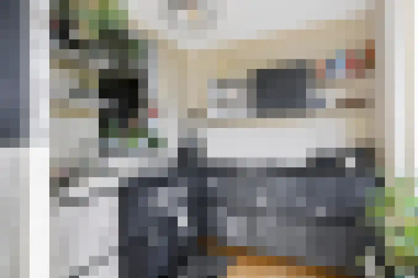 Doornbocht 10 Steensel thumbnail 16