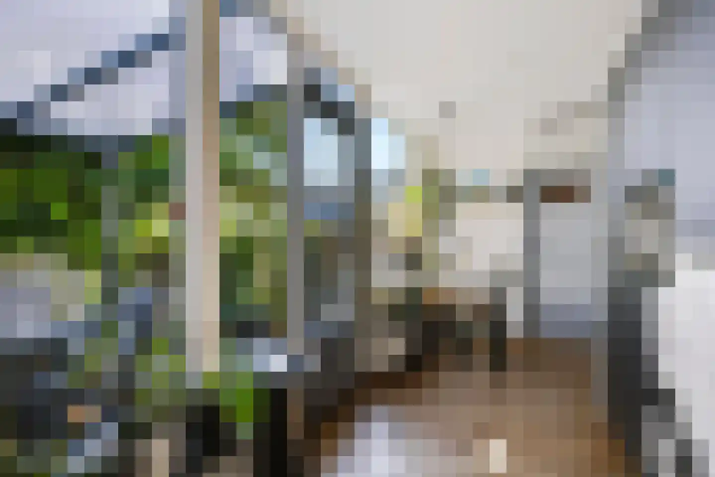 Doornbocht 10 Steensel thumbnail 19