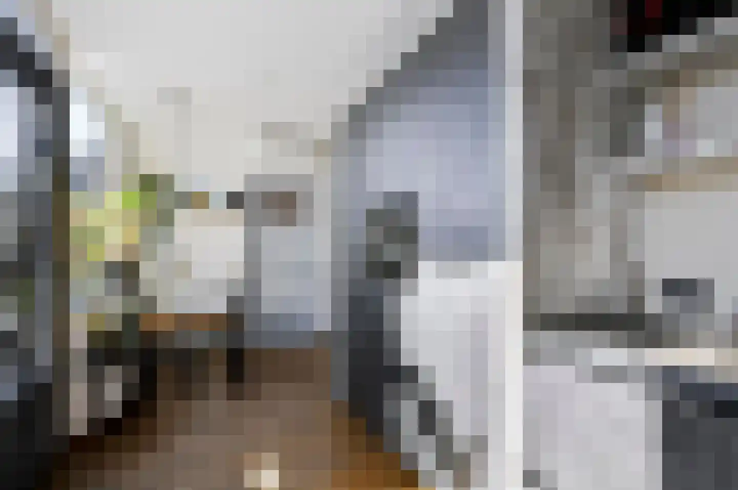 Doornbocht 10 Steensel thumbnail 20