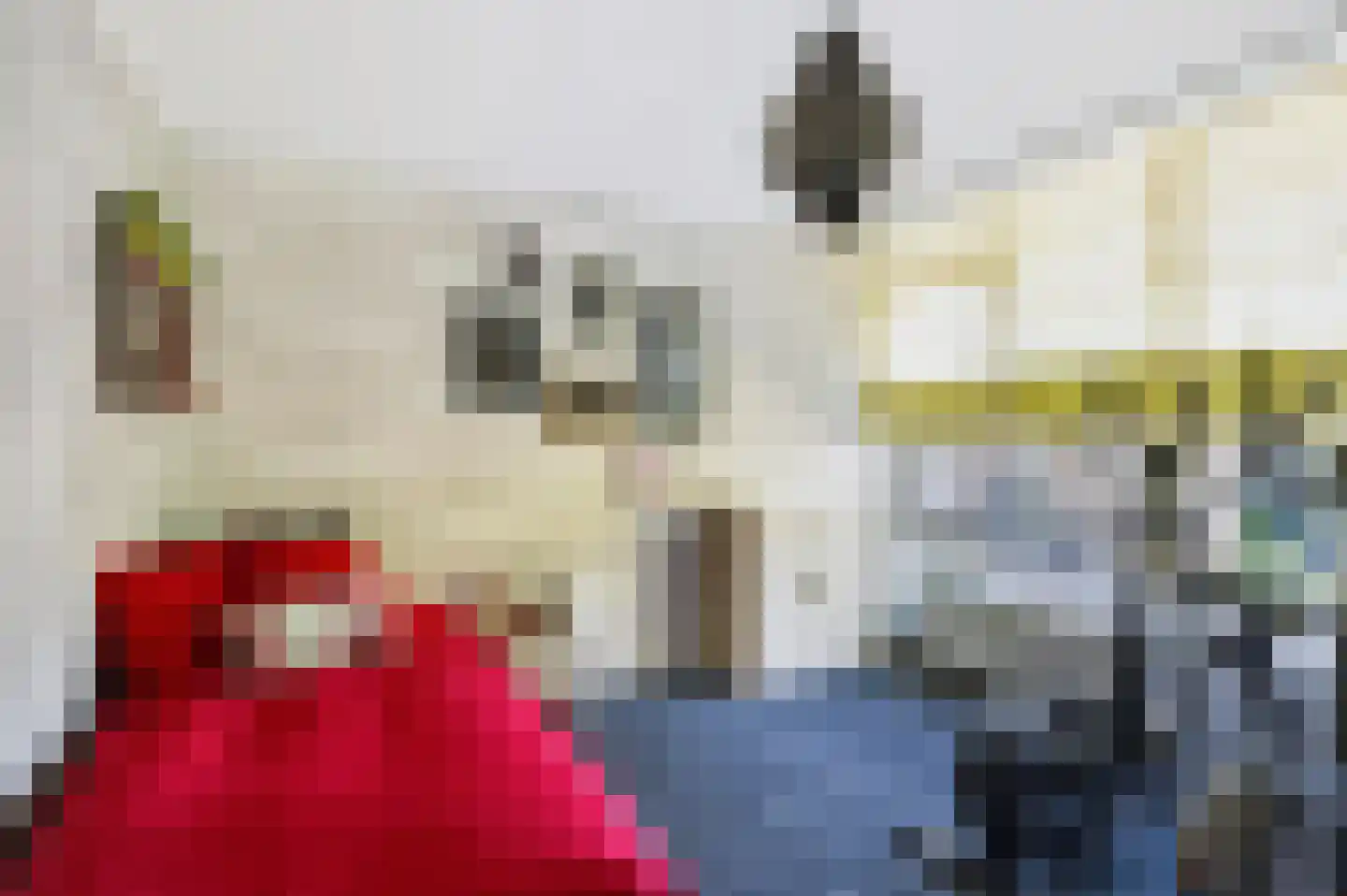 Doornbocht 10 Steensel thumbnail 29