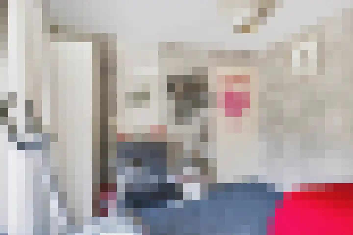 Doornbocht 10 Steensel thumbnail 30