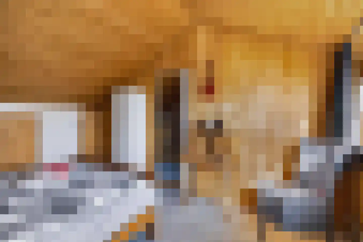 Doornbocht 10 Steensel thumbnail 36