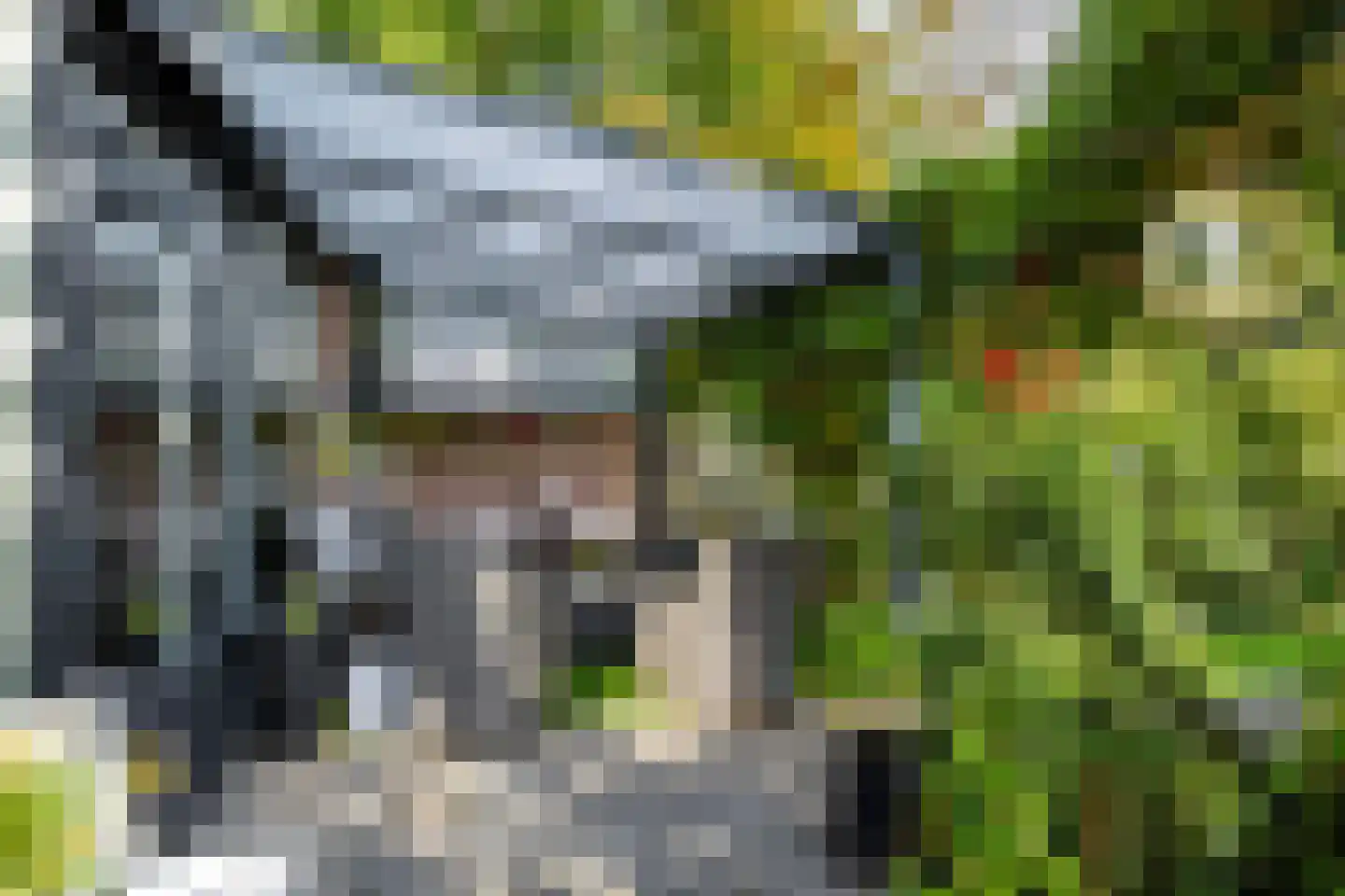 Doornbocht 10 Steensel thumbnail 38