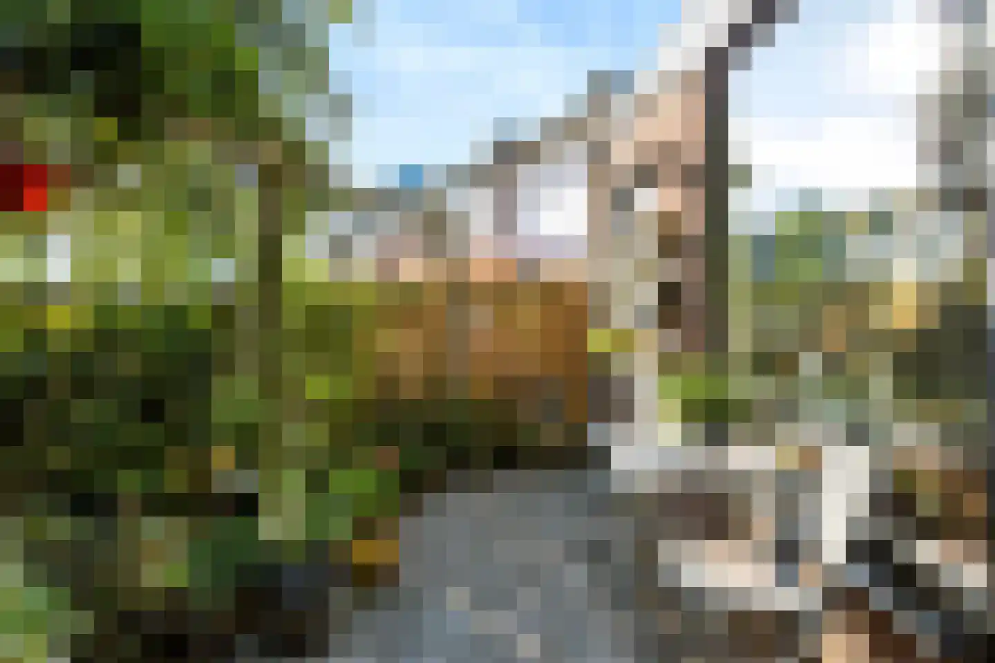 Doornbocht 10 Steensel thumbnail 39