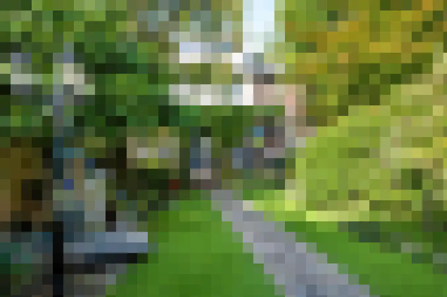 Doornbocht 10 Steensel thumbnail 44