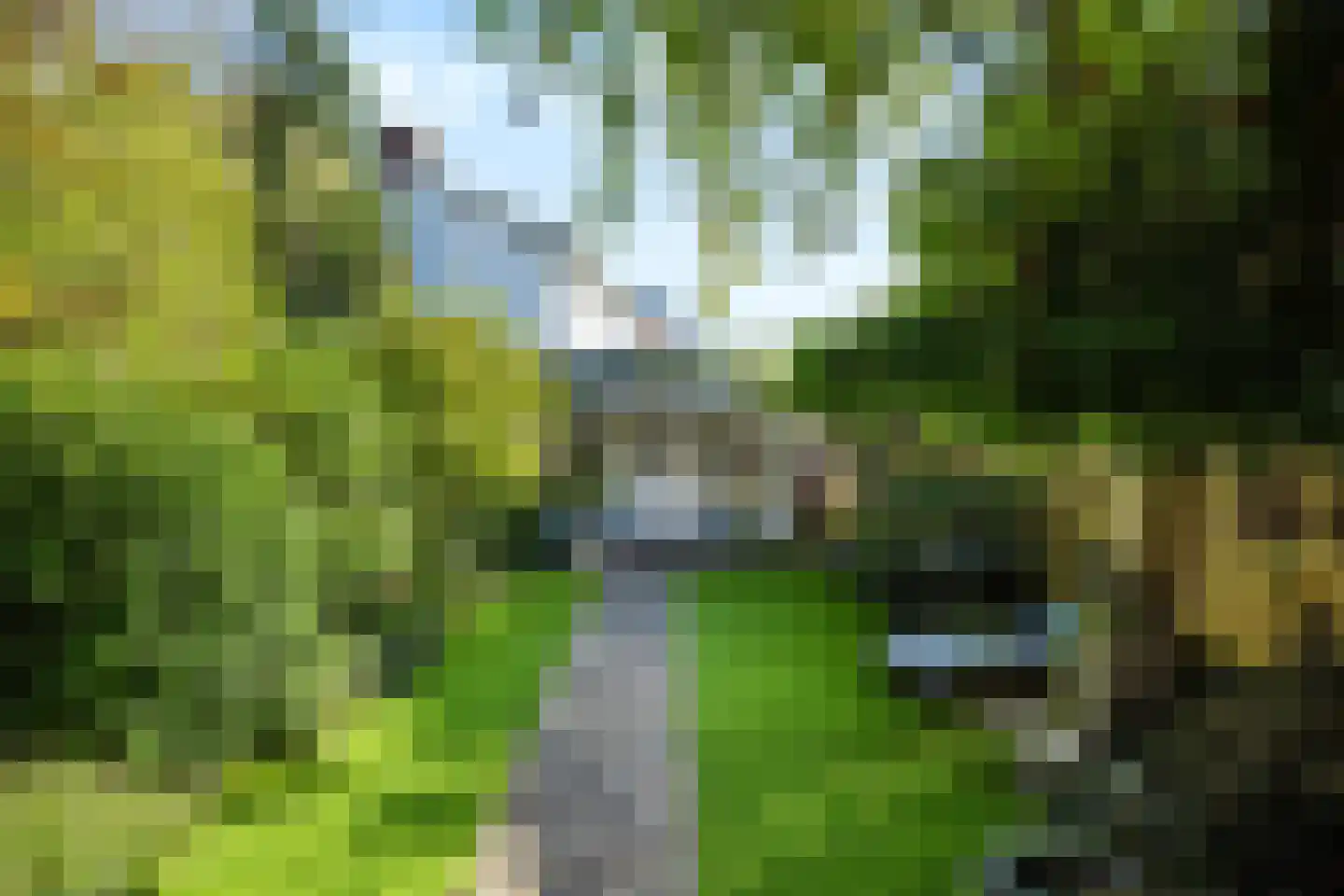 Doornbocht 10 Steensel thumbnail 5