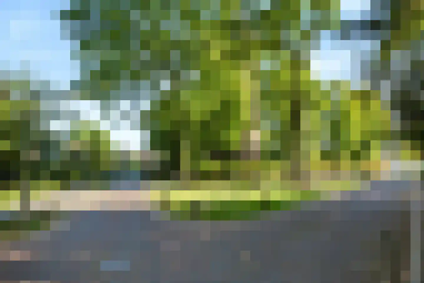Doornbocht 10 Steensel thumbnail 50