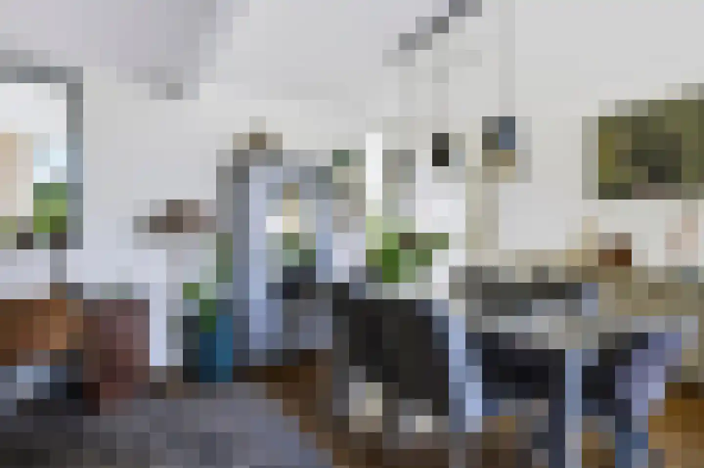 Doornbocht 10 Steensel thumbnail 6