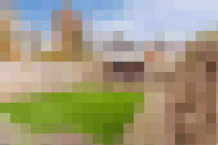 Doornbocht 6 Steensel thumbnail 39