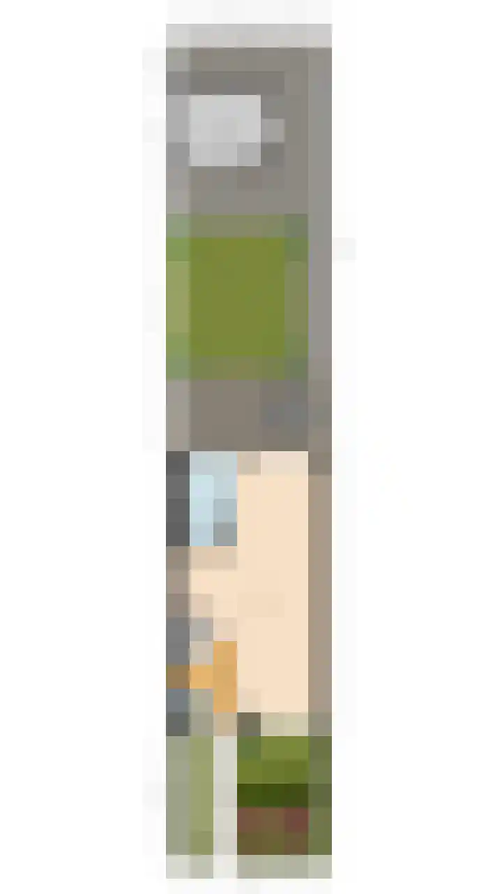 Doornbocht 6 Steensel thumbnail 48