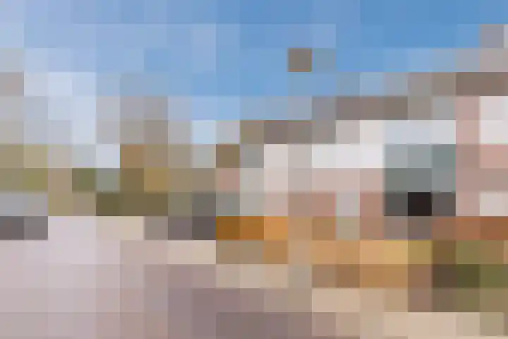 Doornbocht 6 Steensel thumbnail 5