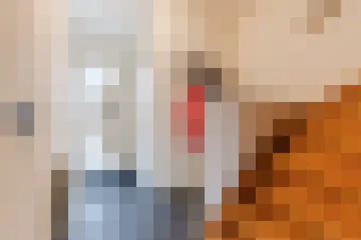 Doornbocht 6 Steensel thumbnail 9