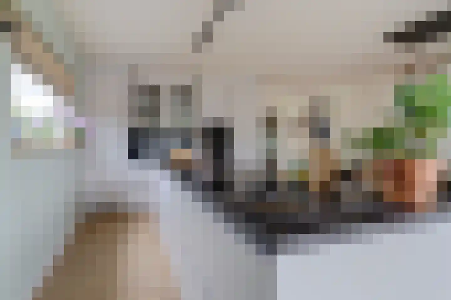 Doornboomspark 1 Scherpenzeel thumbnail 17