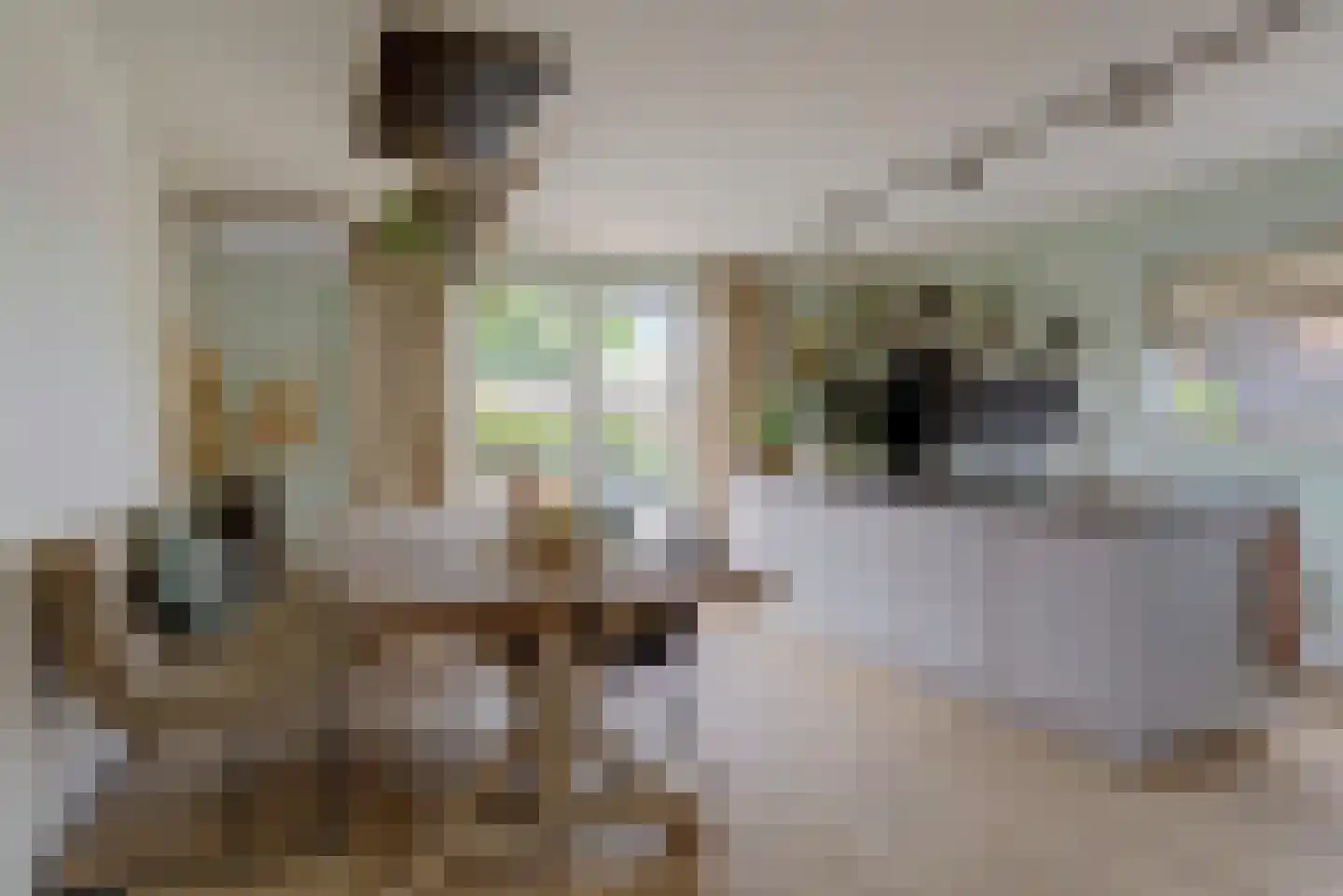 Doornboomspark 1 Scherpenzeel thumbnail 18
