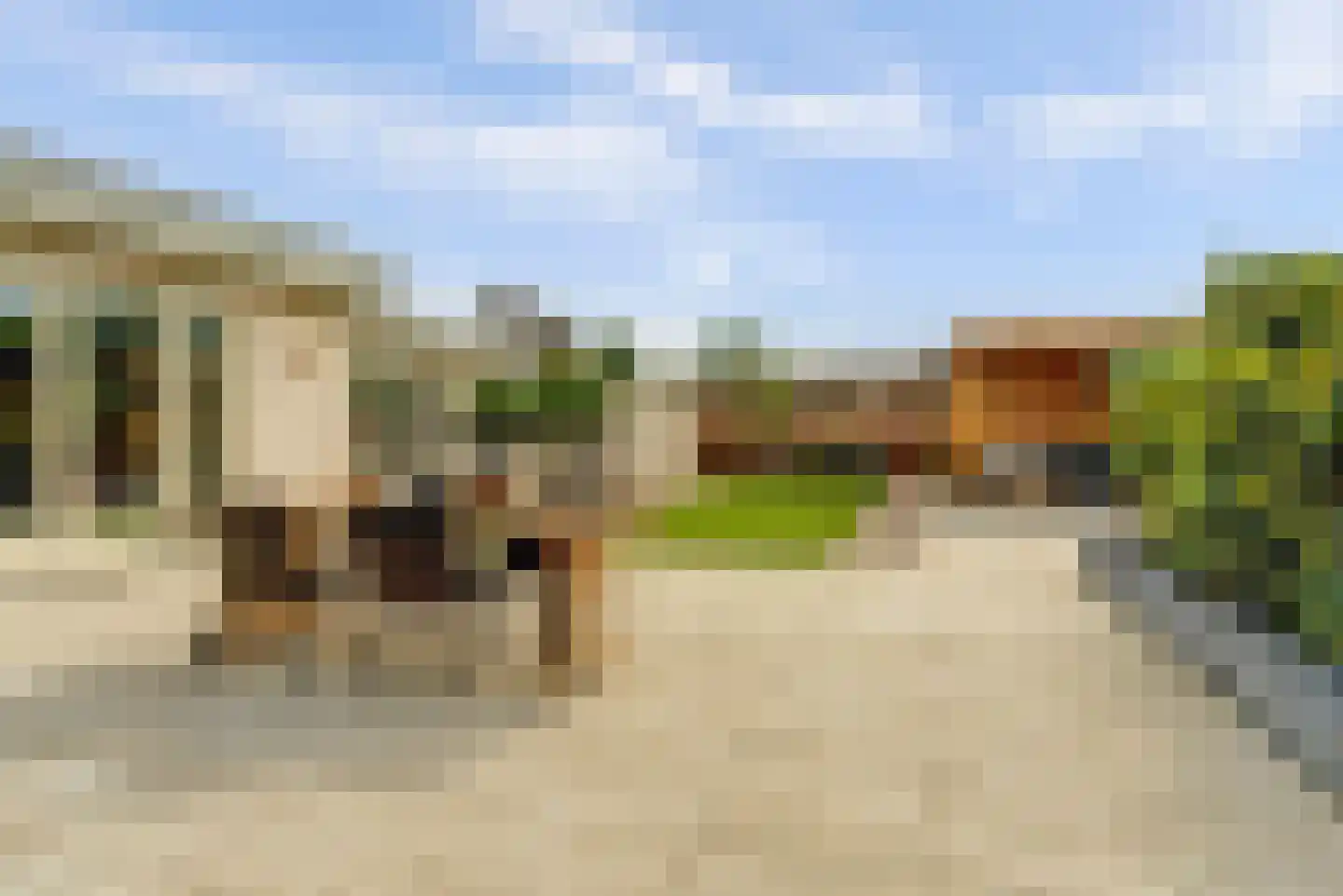 Doornboomspark 1 Scherpenzeel thumbnail 20