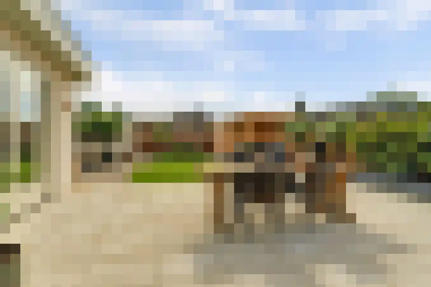 Doornboomspark 1 Scherpenzeel thumbnail 23