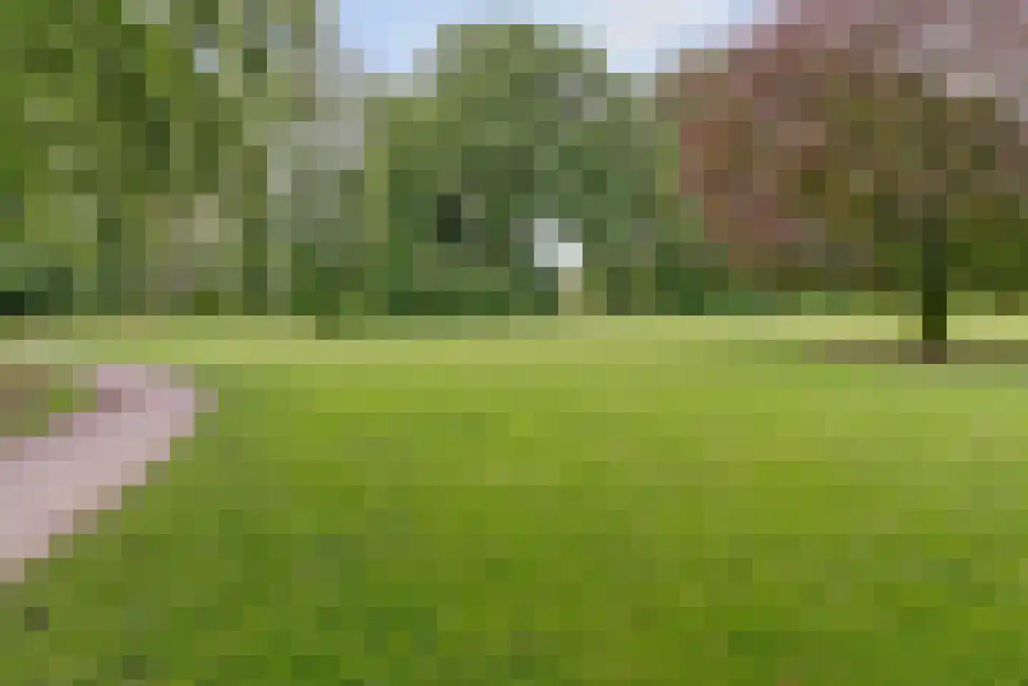 Doornboomspark 1 Scherpenzeel thumbnail 47