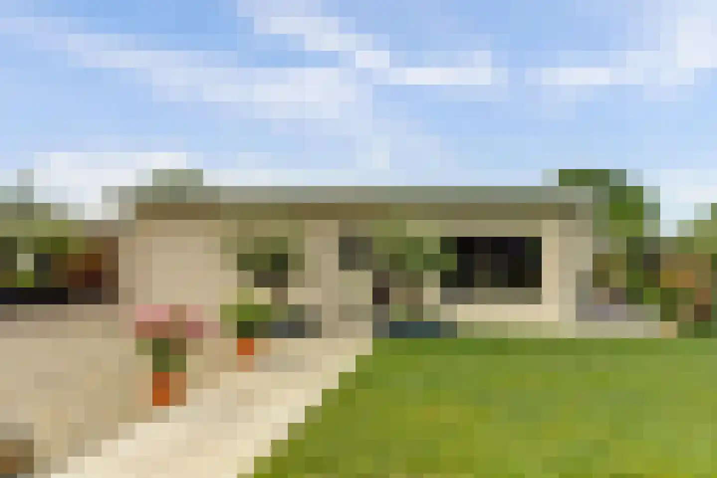 Doornboomspark 1 Scherpenzeel thumbnail 6