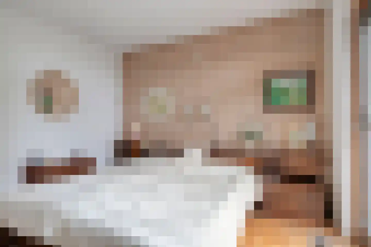 Doornboomspark 15 Scherpenzeel thumbnail 14
