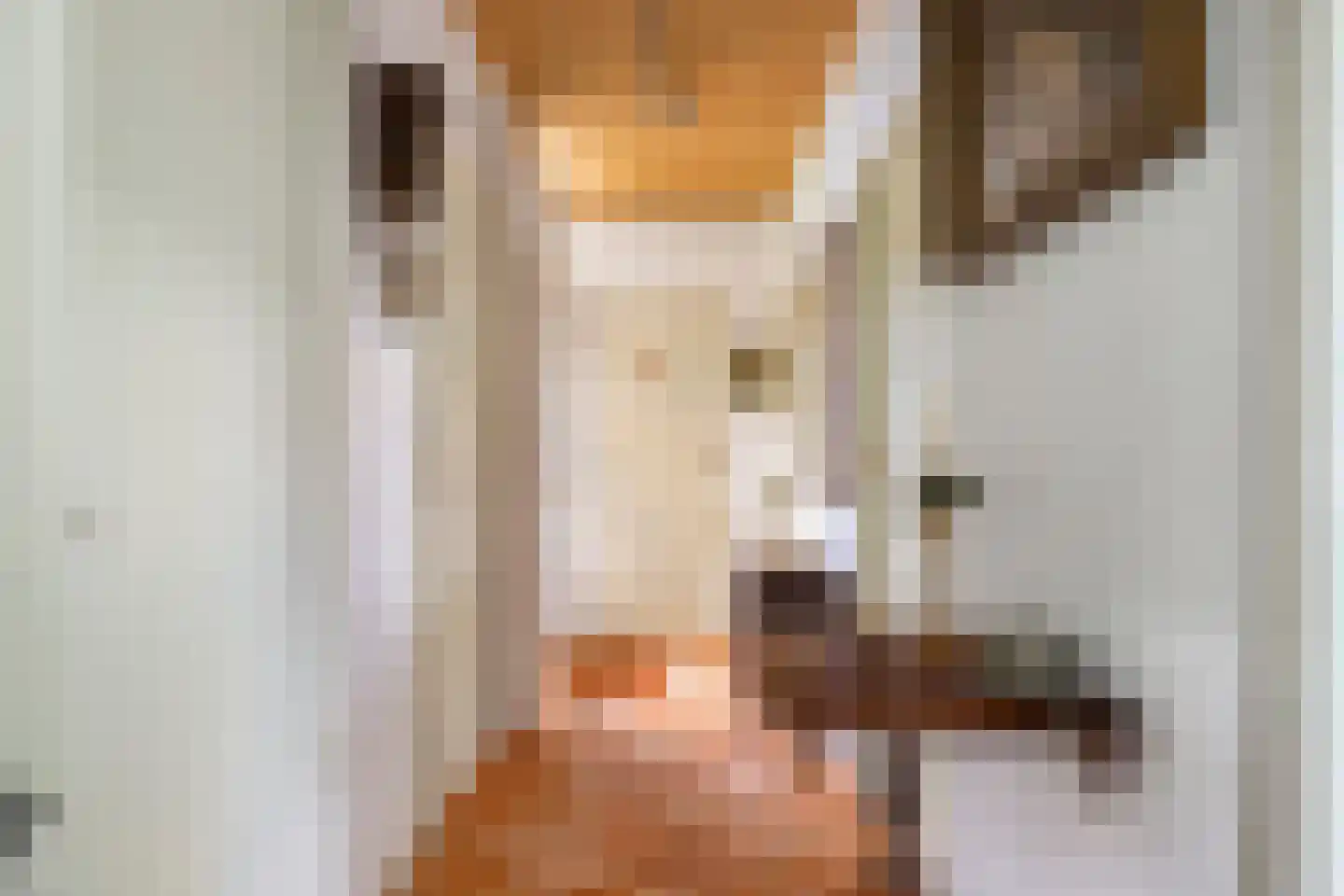 Doornboomspark 15 Scherpenzeel thumbnail 19