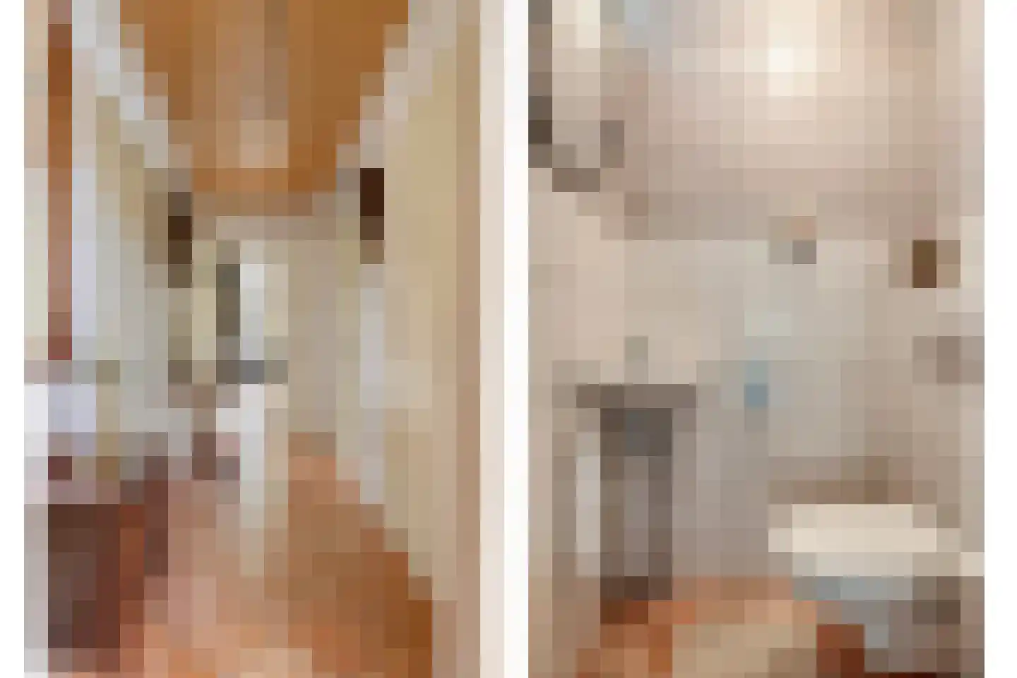 Doornboomspark 15 Scherpenzeel thumbnail 20