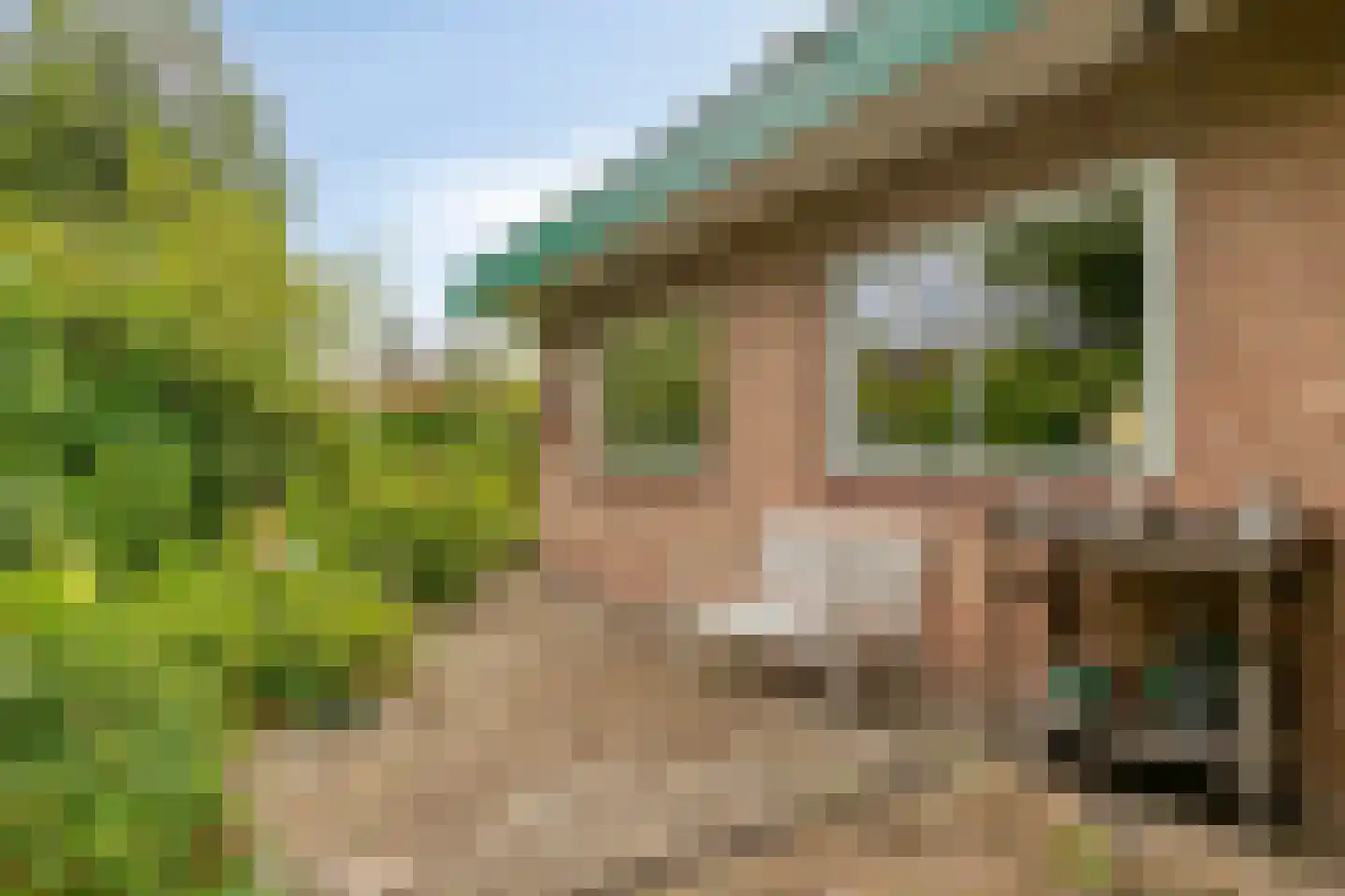 Doornboomspark 15 Scherpenzeel thumbnail 22