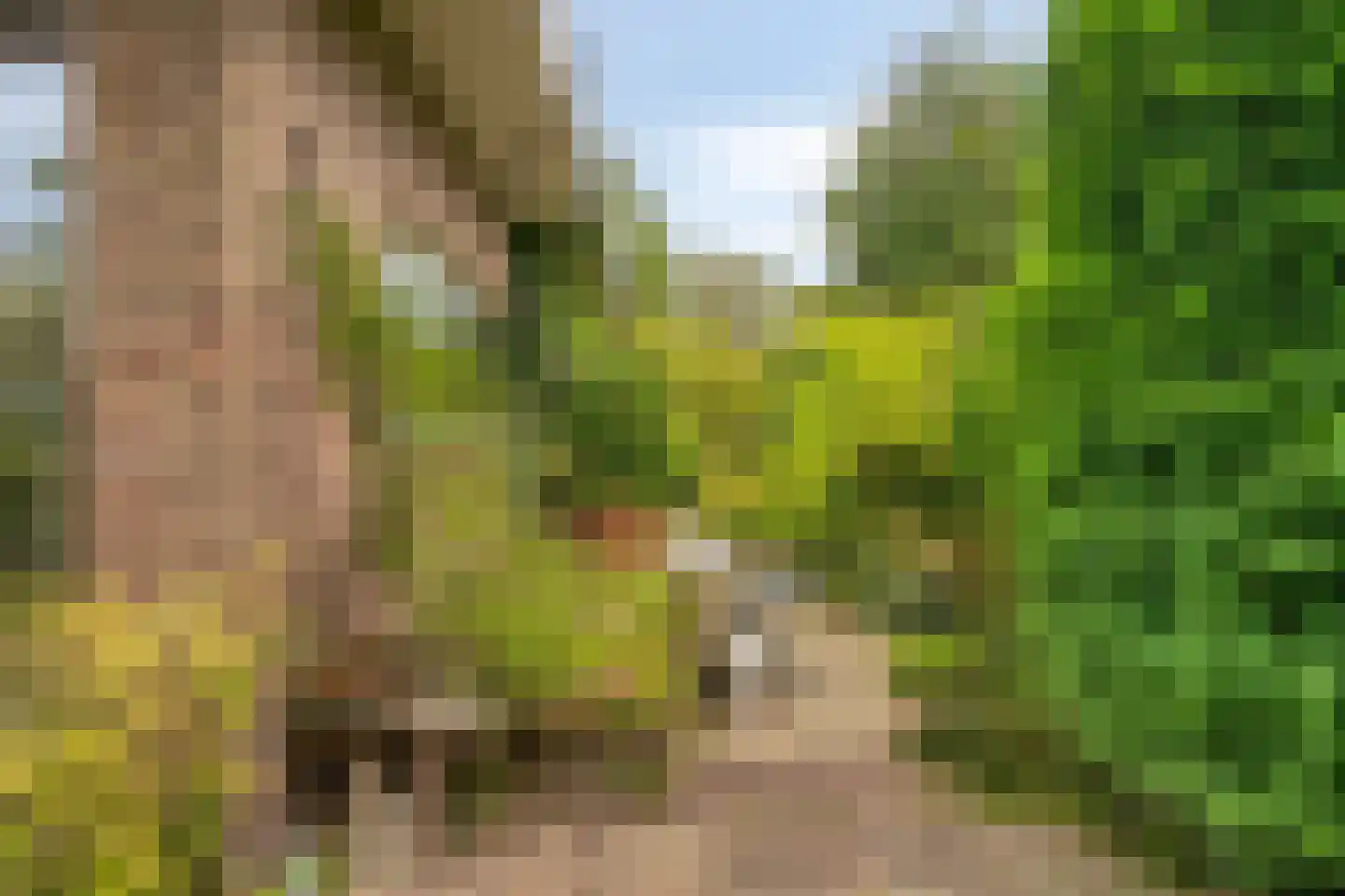 Doornboomspark 15 Scherpenzeel thumbnail 24