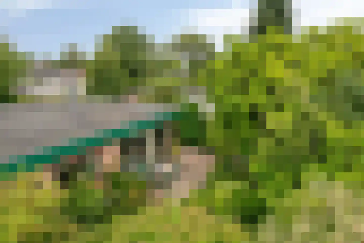Doornboomspark 15 Scherpenzeel thumbnail 25