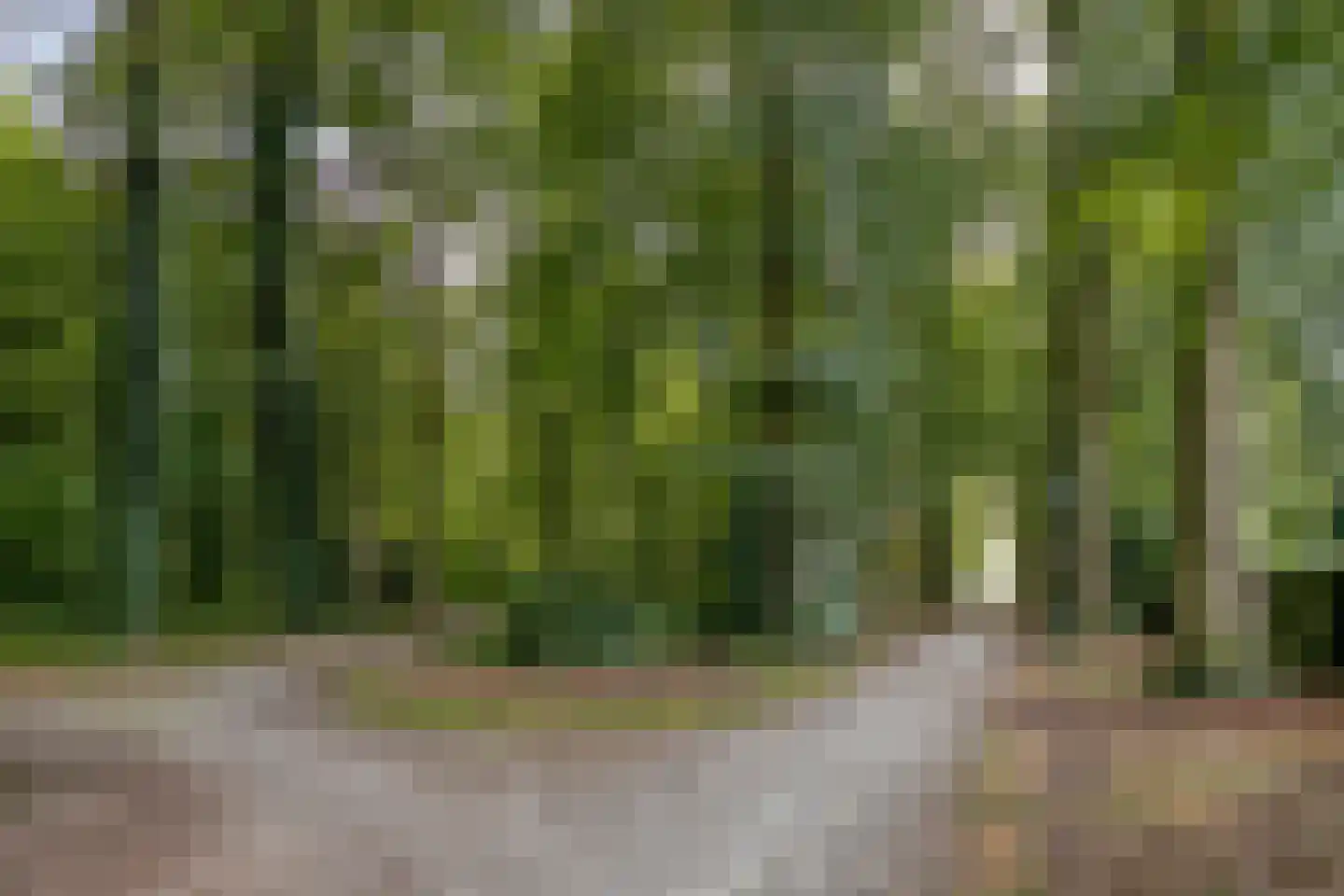 Doornboomspark 15 Scherpenzeel thumbnail 27