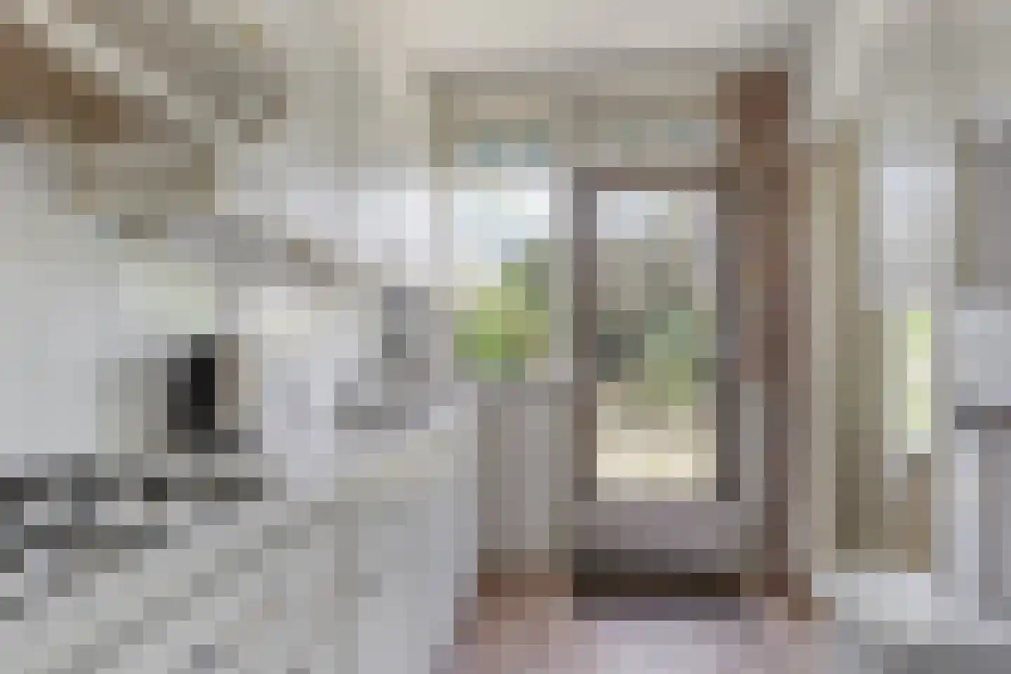 Doornboomspark 9 Scherpenzeel thumbnail 10