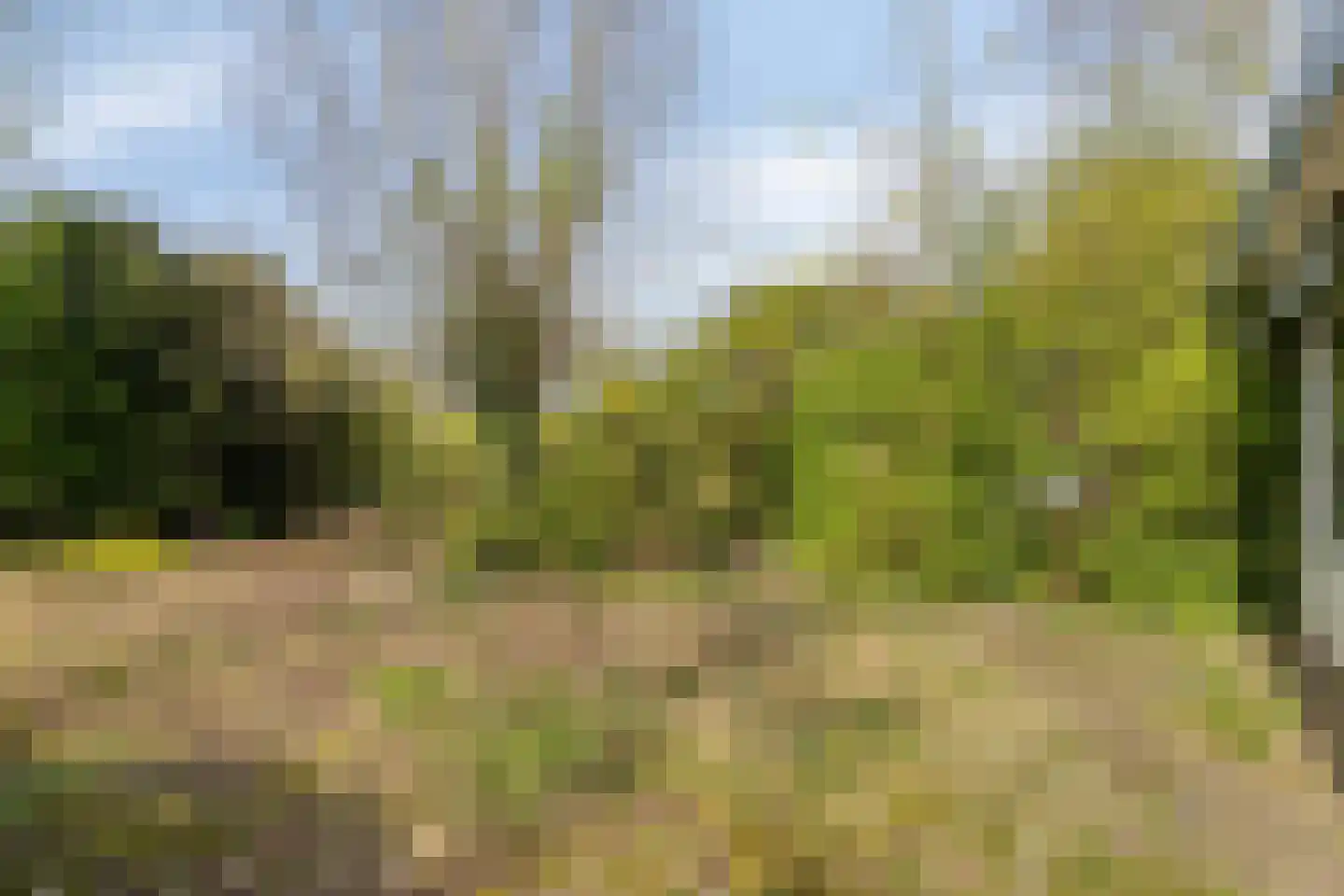 Doornboomspark 9 Scherpenzeel thumbnail 22