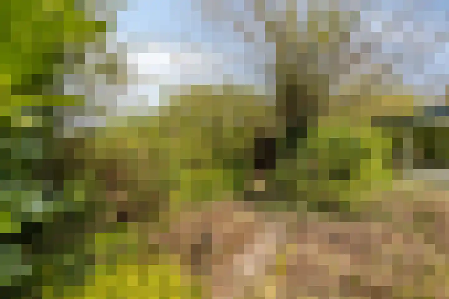 Doornboomspark 9 Scherpenzeel thumbnail 23