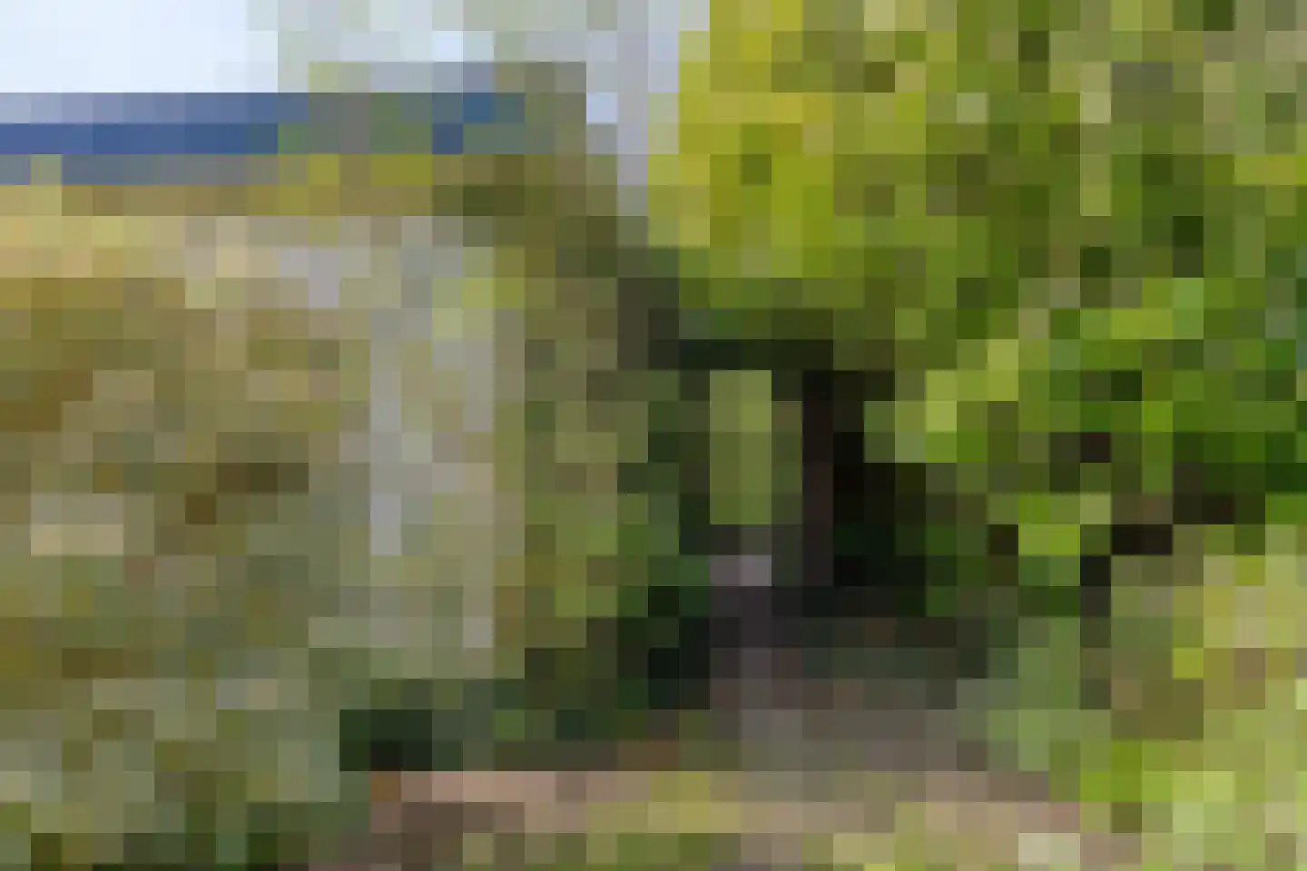 Doornboomspark 9 Scherpenzeel thumbnail 24