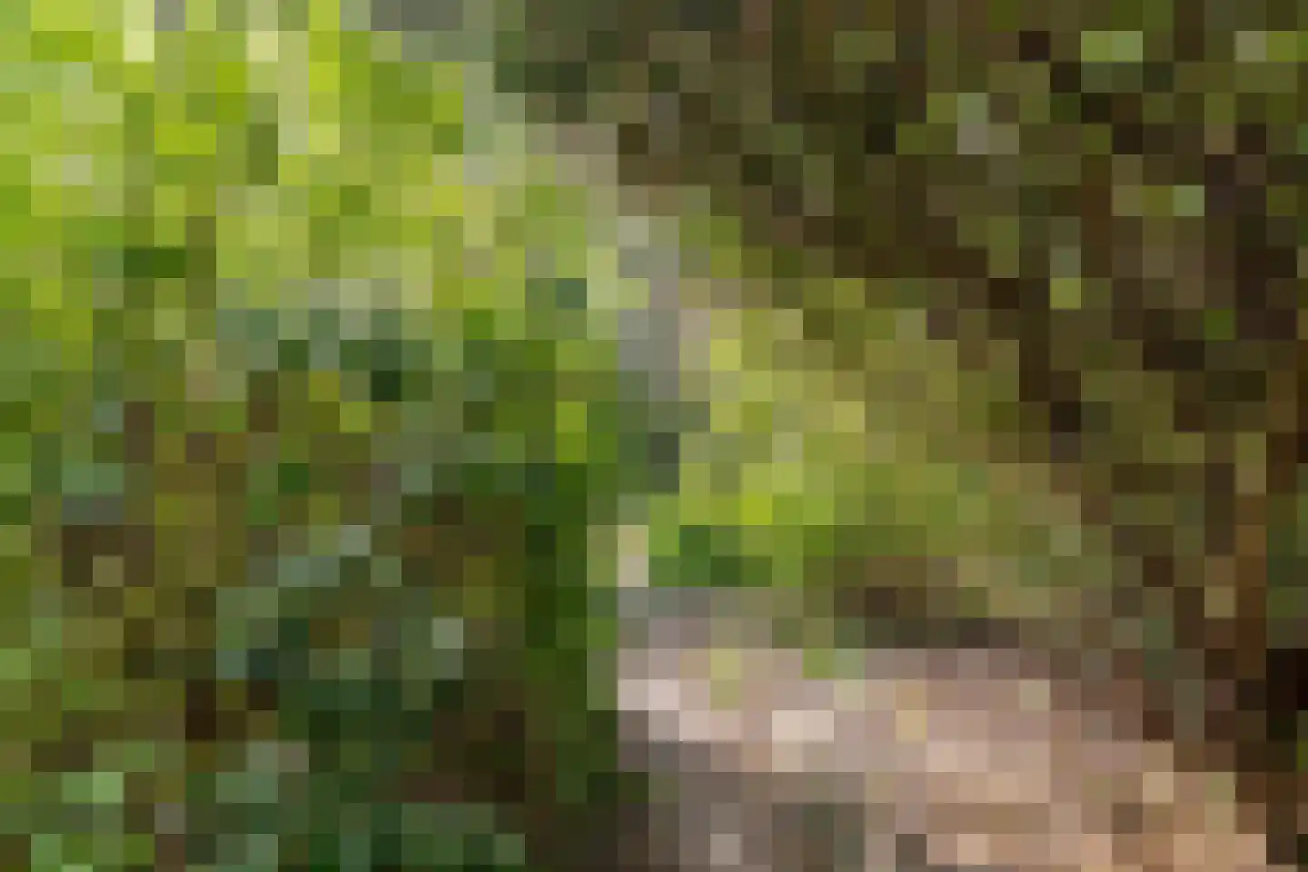 Doornboomspark 9 Scherpenzeel thumbnail 25