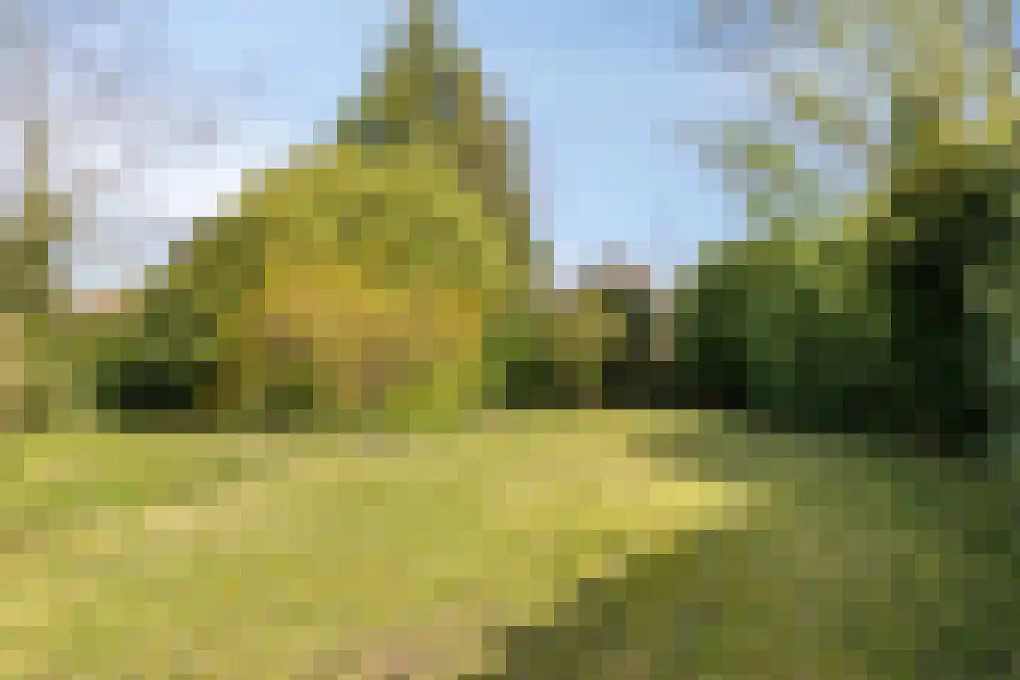 Doornboomspark 9 Scherpenzeel thumbnail 27