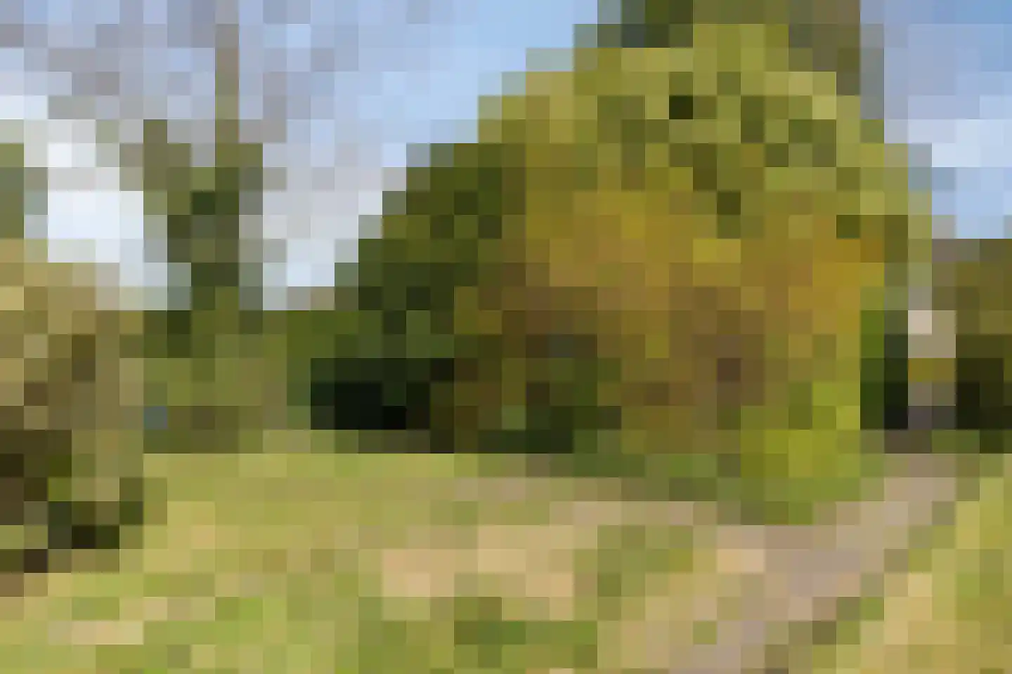 Doornboomspark 9 Scherpenzeel thumbnail 28