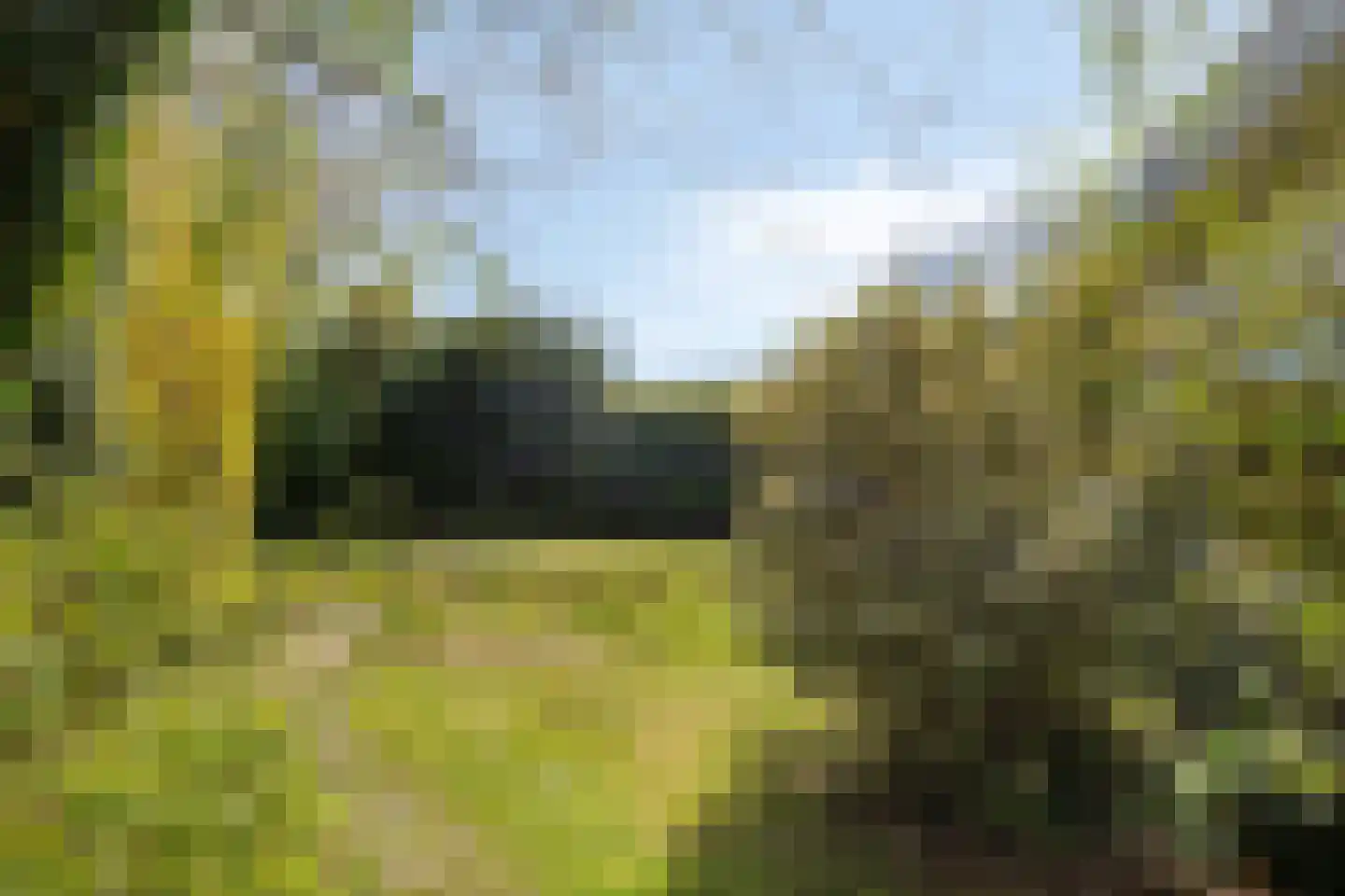 Doornboomspark 9 Scherpenzeel thumbnail 29