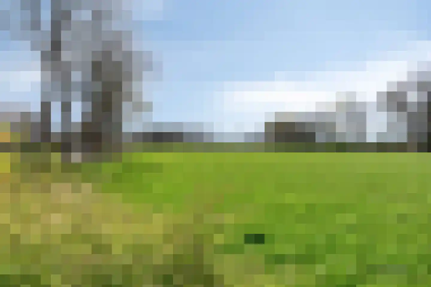 Doornboomspark 9 Scherpenzeel thumbnail 33