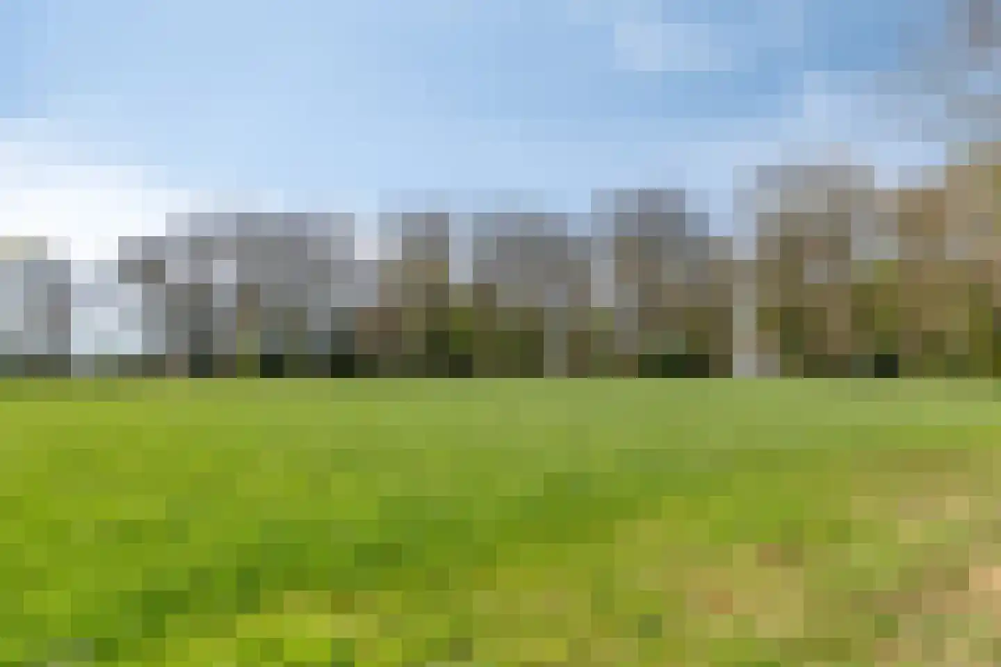 Doornboomspark 9 Scherpenzeel thumbnail 34