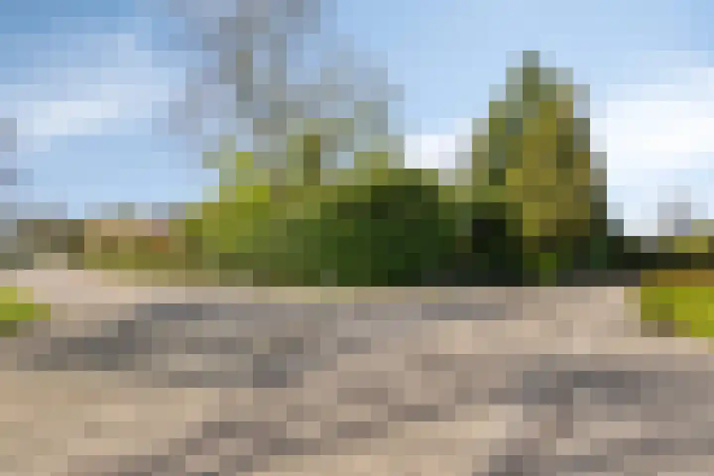 Doornboomspark 9 Scherpenzeel thumbnail 4