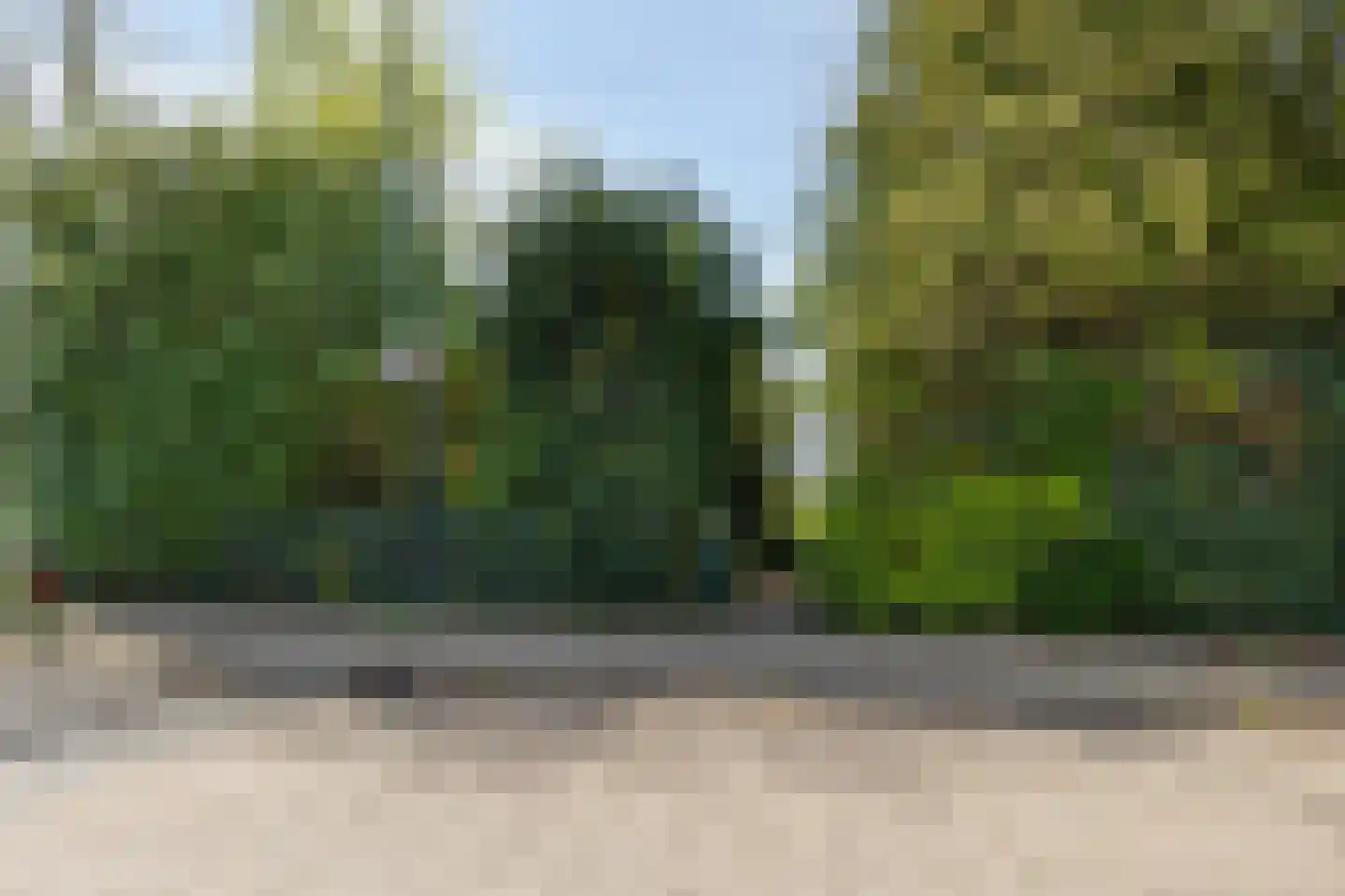 Doornboomspark 9 Scherpenzeel thumbnail 5