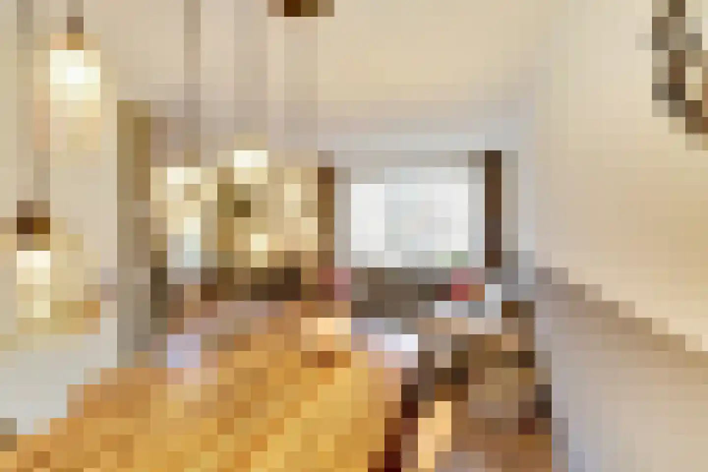 Doornbos 23 Reusel thumbnail 13