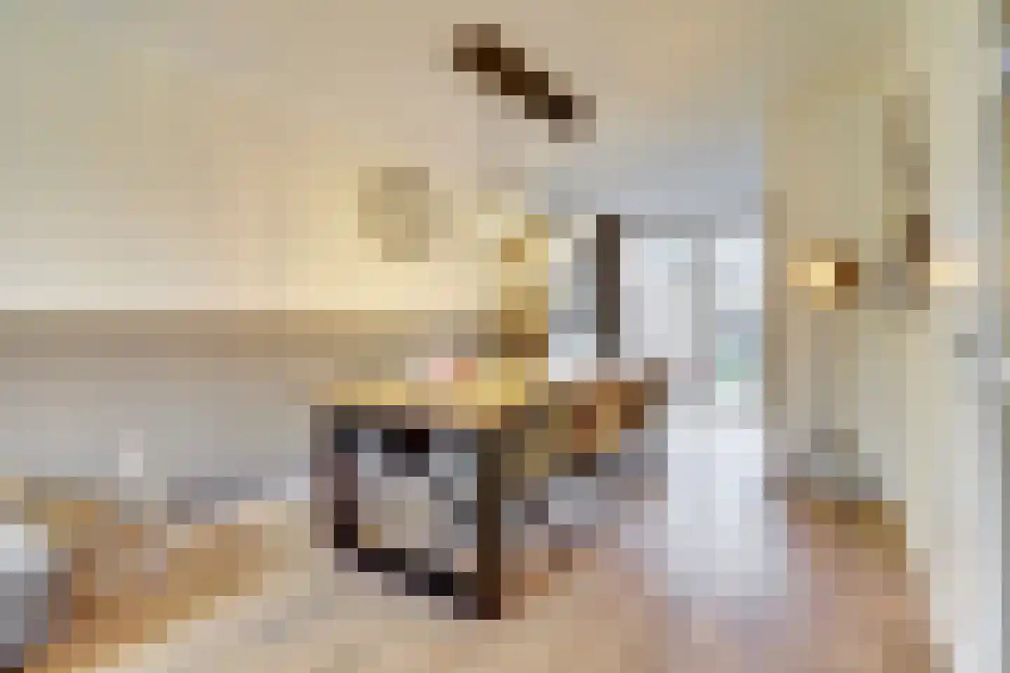 Doornbos 23 Reusel thumbnail 14
