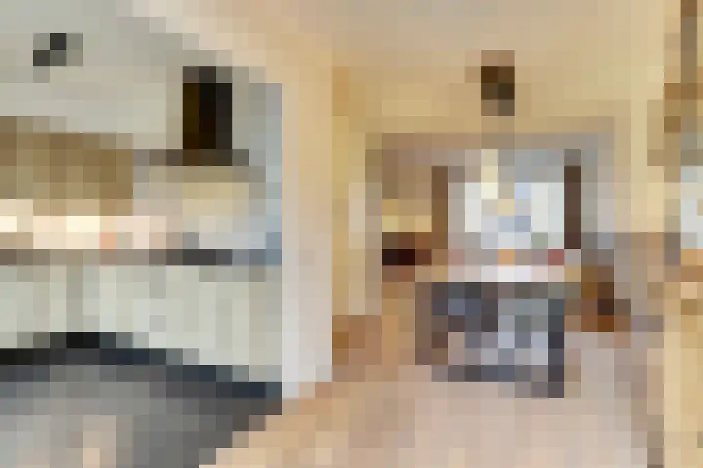 Doornbos 23 Reusel thumbnail 16