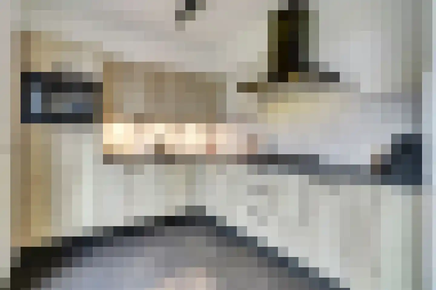 Doornbos 23 Reusel thumbnail 18