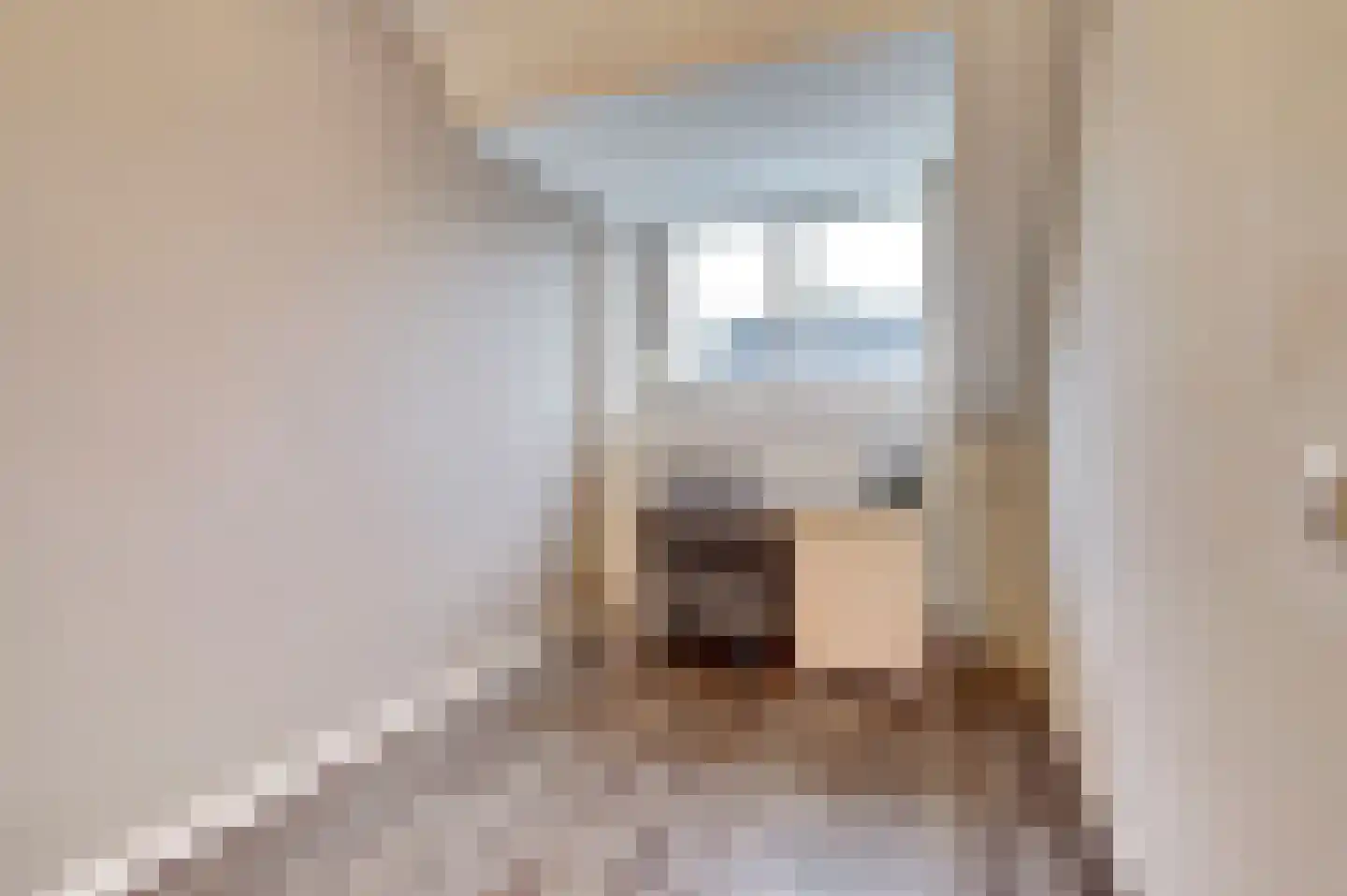 Doornbos 23 Reusel thumbnail 28