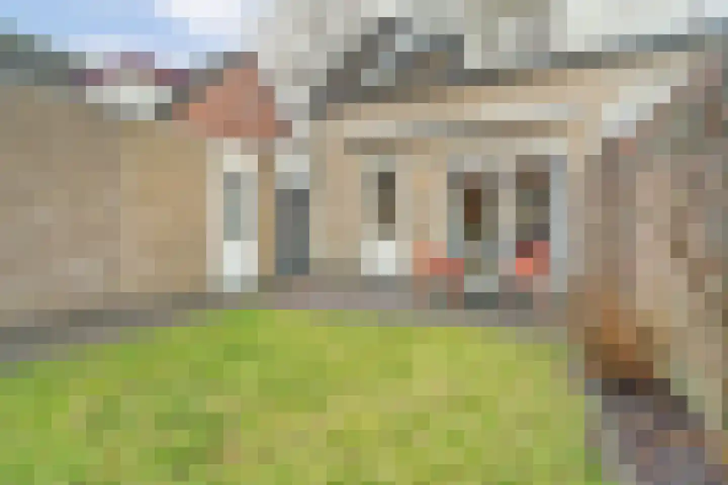 Doornbos 23 Reusel thumbnail 45